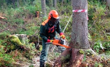 Угроза для биоразнообразия и животного мира