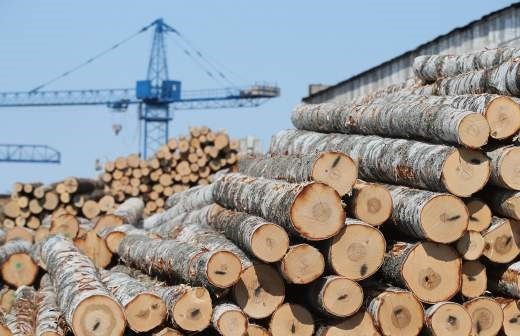Высокий спрос на деловую древесину в 2024 году