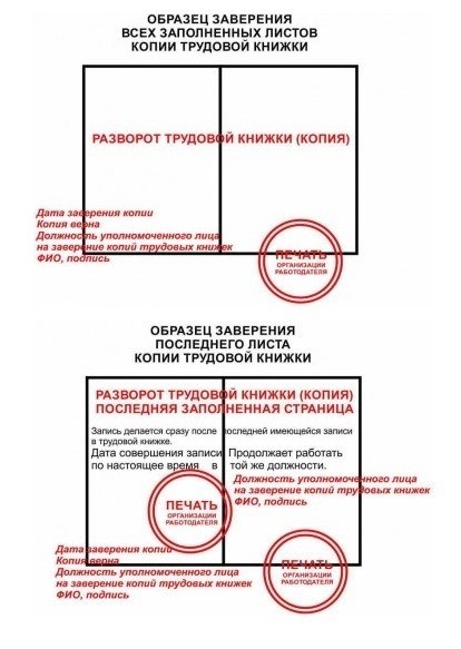 Что такое трудовая книжка и почему она важна?