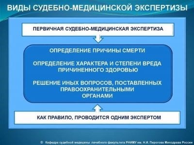 Судебномедицинская экспертиза: суть и применение