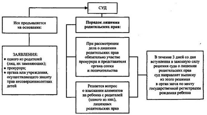 Процедура выдачи решения о лишении родительских прав после подачи заявления