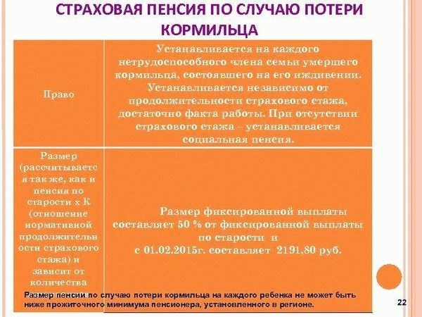 Минимальная пенсия по потере кормильца в Москве всего 7000 рублей