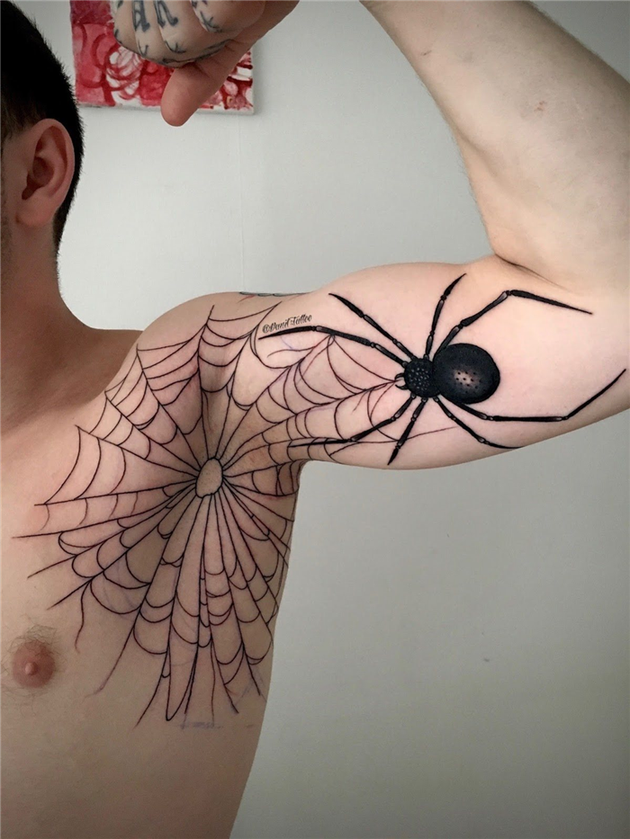 Выбор дизайна паутины с пауком